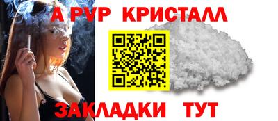 ECSTASY Кингисепп