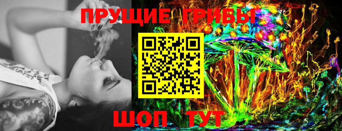 Электросталь  Галлюциногенные грибы GOLDEN TEACHER  Вход с VPN 